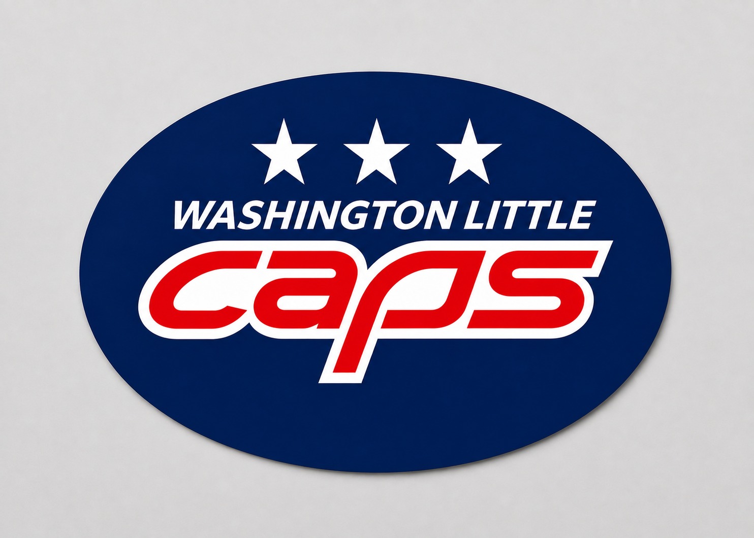 Blue WLC oval magnet